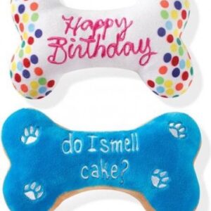 Feest snackpakket met speeltje
